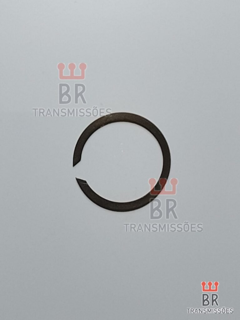 6060 TRAVA CAMBIO AL4 – SCENIC / 206